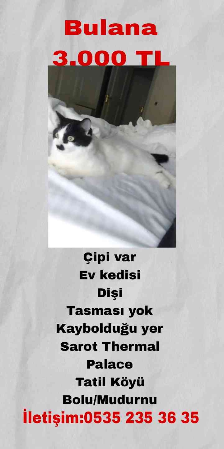 BULANA ÖDÜL