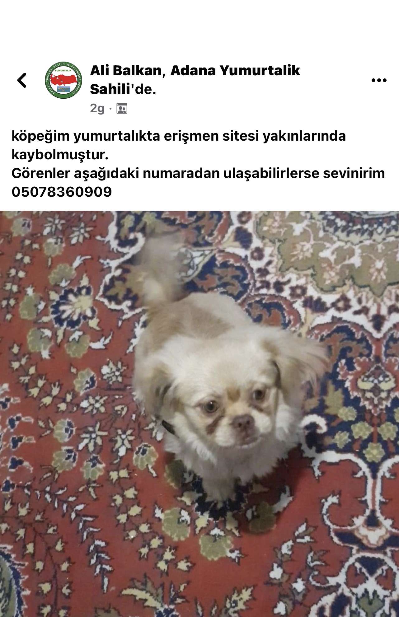 Köpeğim kayıp