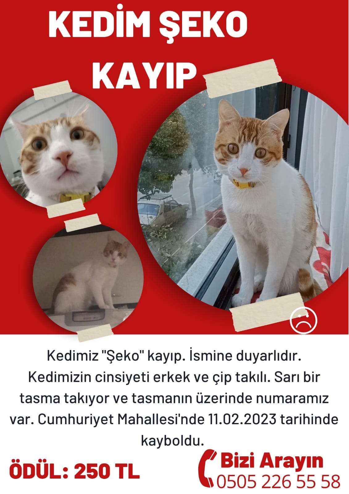  kedim Şeko kayıp