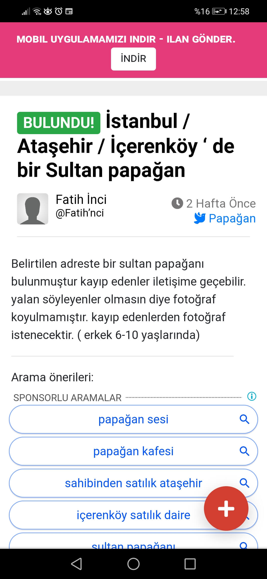 Fatih inci kayıp sultan papağanı ilanı