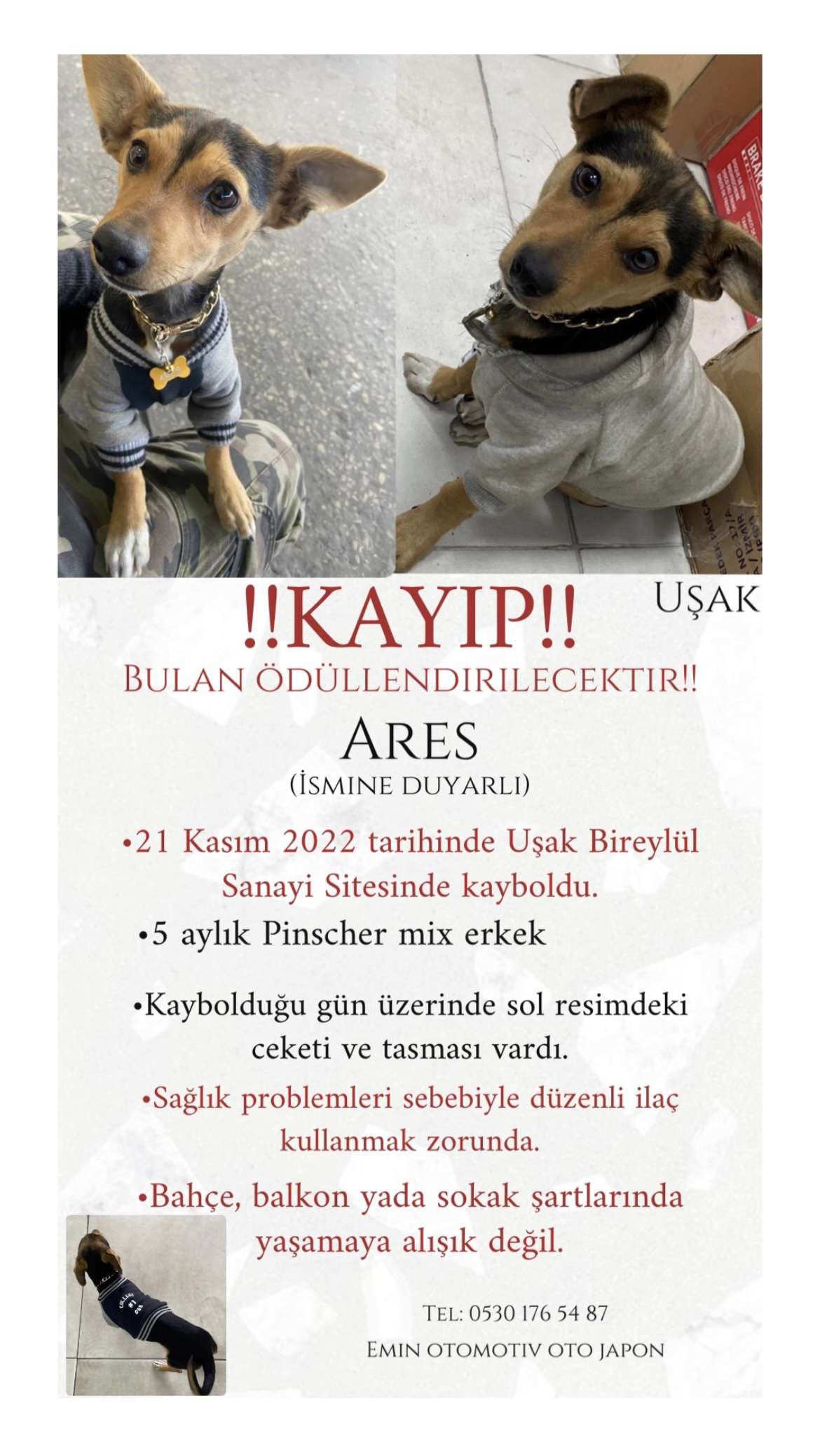 Ares ( küçük oğlumuz kayıp)