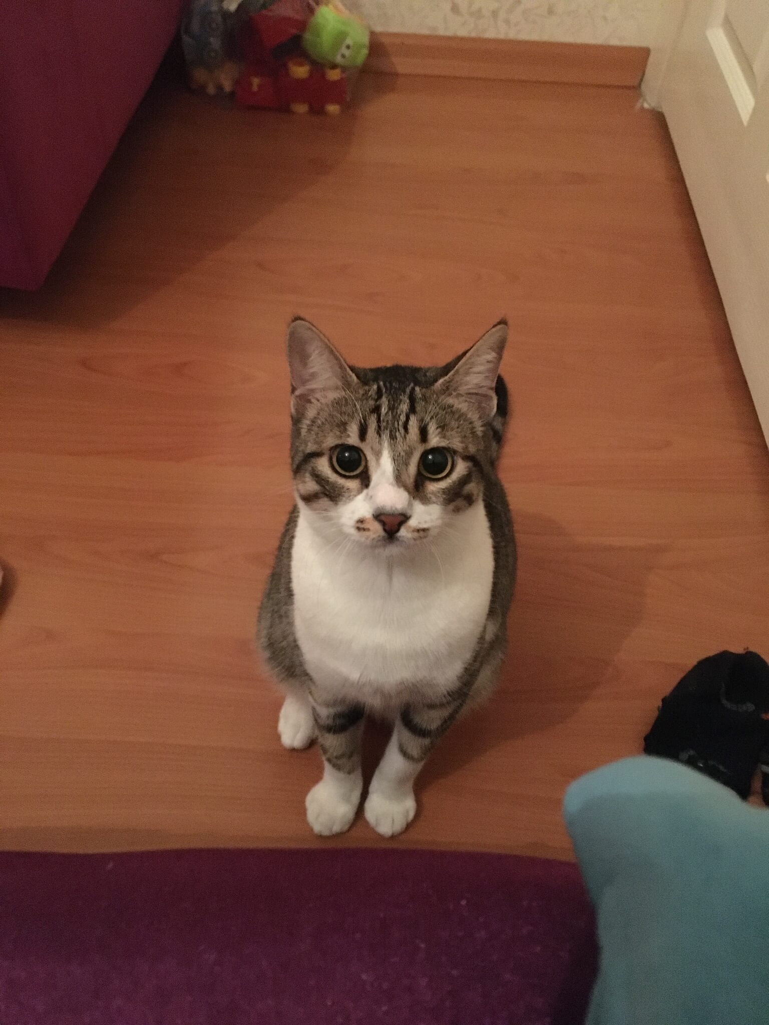 KAYIP!! Gören Duyan