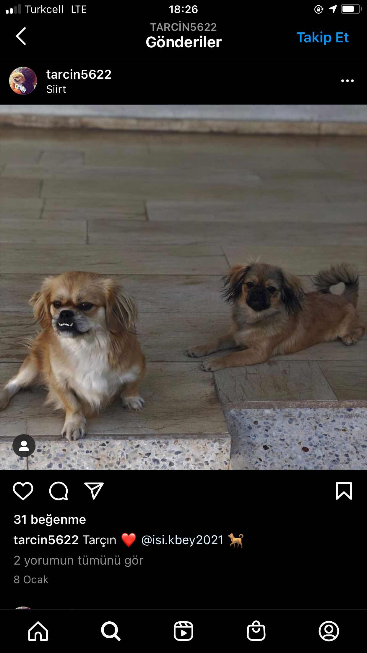 Tarçın ve Işık