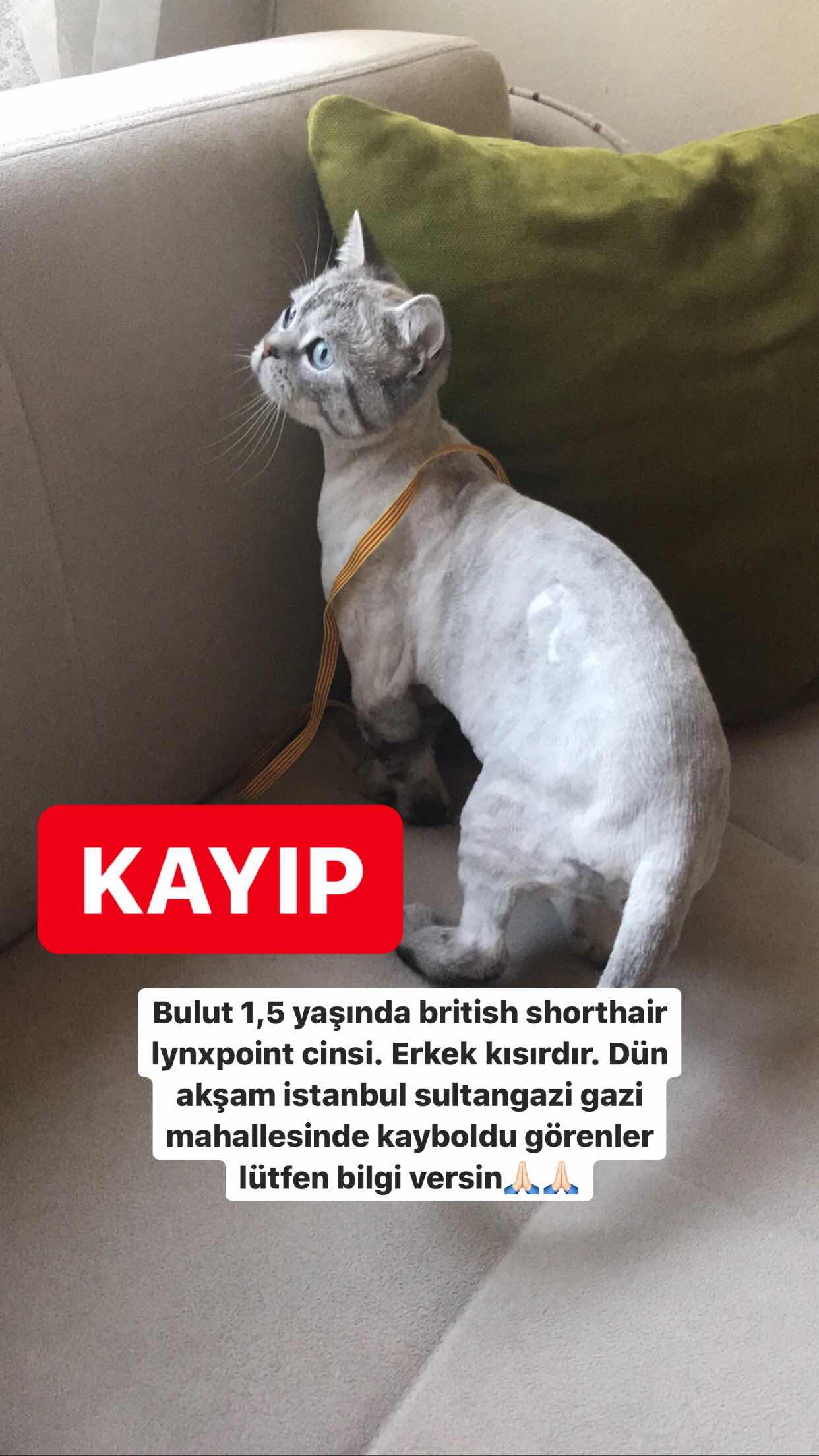 bulutkayıp Gören Duyan