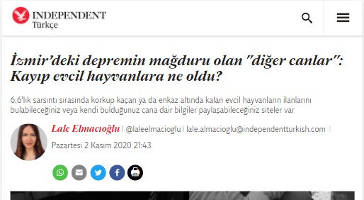 İzmir’deki depremin mağduru olan diğer canlar: Kayıp evcil hayvanlara ne oldu?